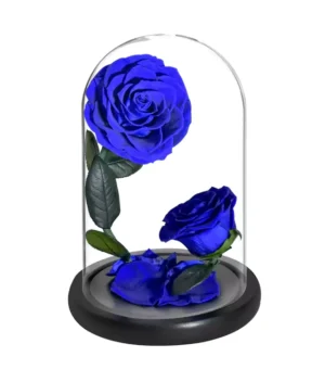 Double Rose Eternelle <br/>Bleu