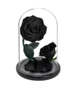 double rose éternelle noire