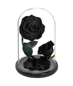 double rose éternelle noire