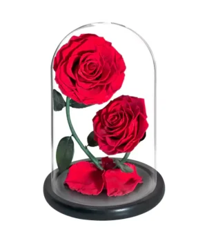 double rose éternelle rouge