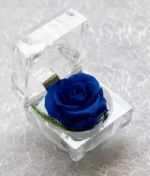 Petite Rose Eternelle <br/>Bleu