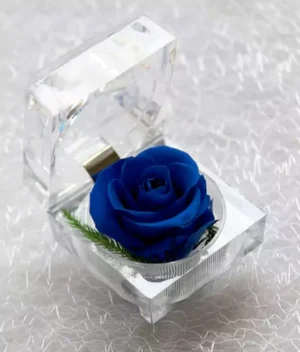 Petite Rose Eternelle <br/>Bleu