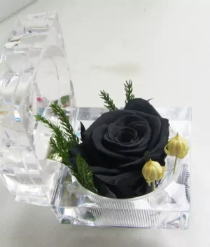 petite rose éternelle noire
