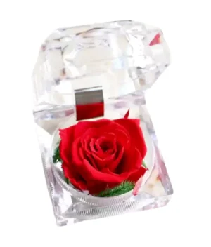 Petite Rose Eternelle <br/>Rouge