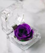 Petite Rose Eternelle Violette