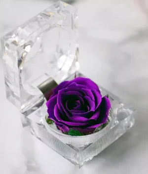 Petite Rose Eternelle Violette