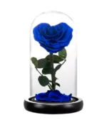 rose éternelle d'amour bleu