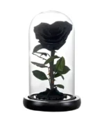 rose éternelle d'amour noire