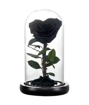 rose éternelle d'amour noire