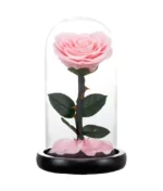 rose éternelle d'amour rose