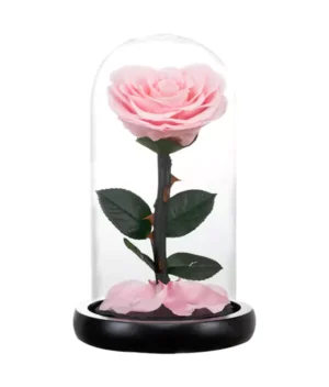 rose éternelle d'amour rose