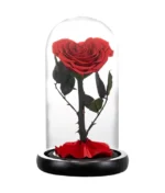 rose éternelle d'amour rouge