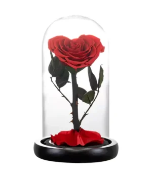 rose éternelle d'amour rouge