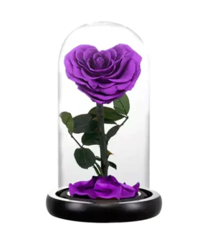 rose éternelle d'amour violette