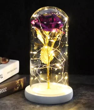 rose éternelle violette