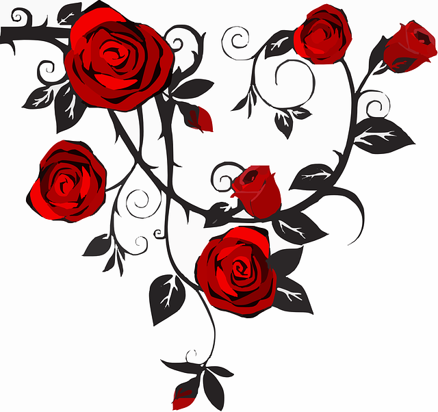 Top 10 des plus belles roses du monde
